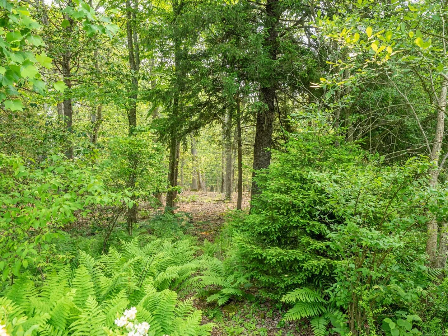 Vacant Land in Ridgefield - Ridgefield, Connecticut, 06877
