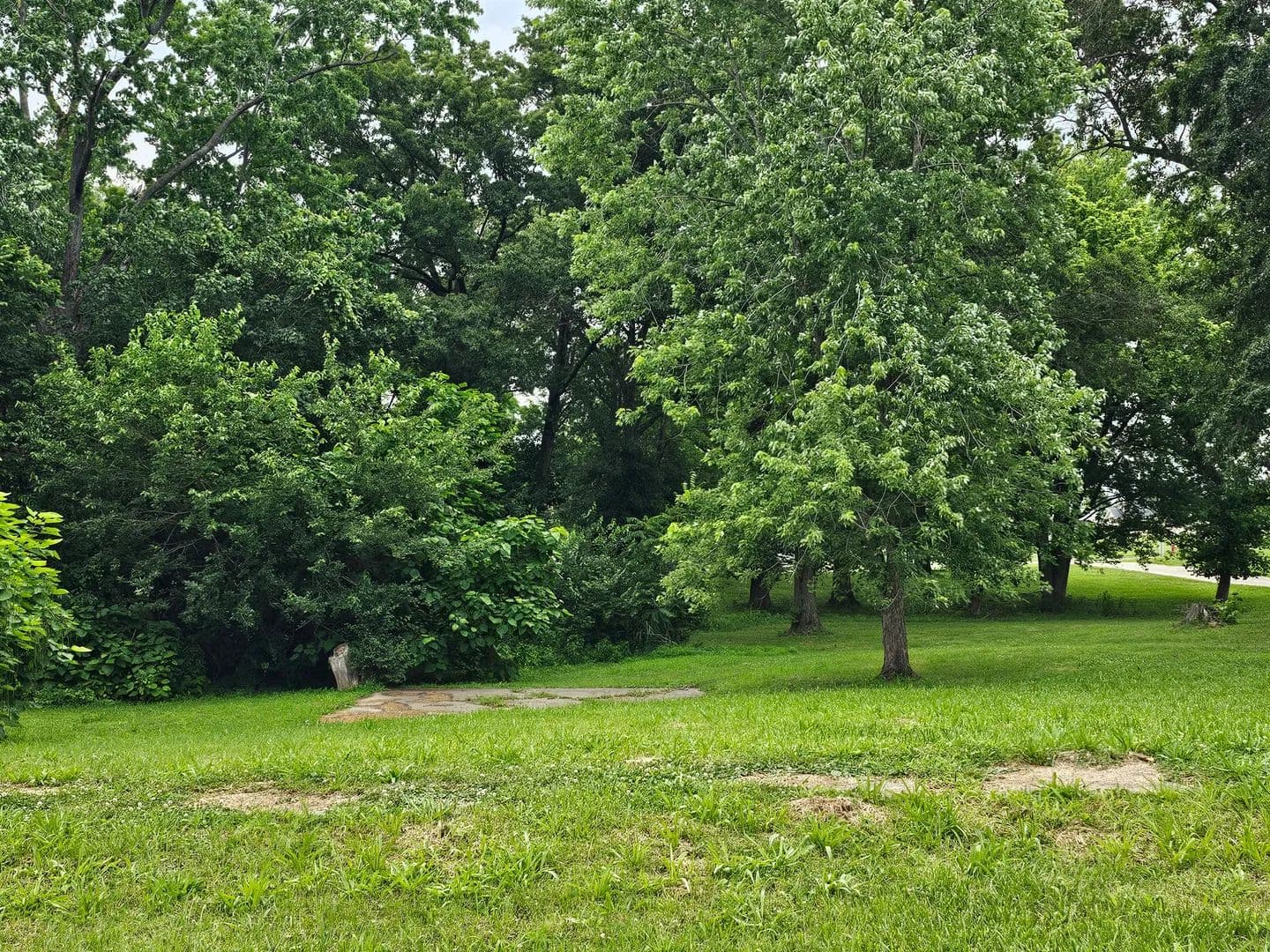 Land -Single Family Acreage in Hillsboro - Hillsboro, Illinois, 62049