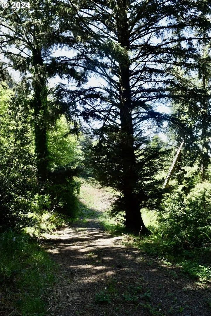 Lots & Land-Other in Gold Beach - Gold Beach, Oregon, 97444