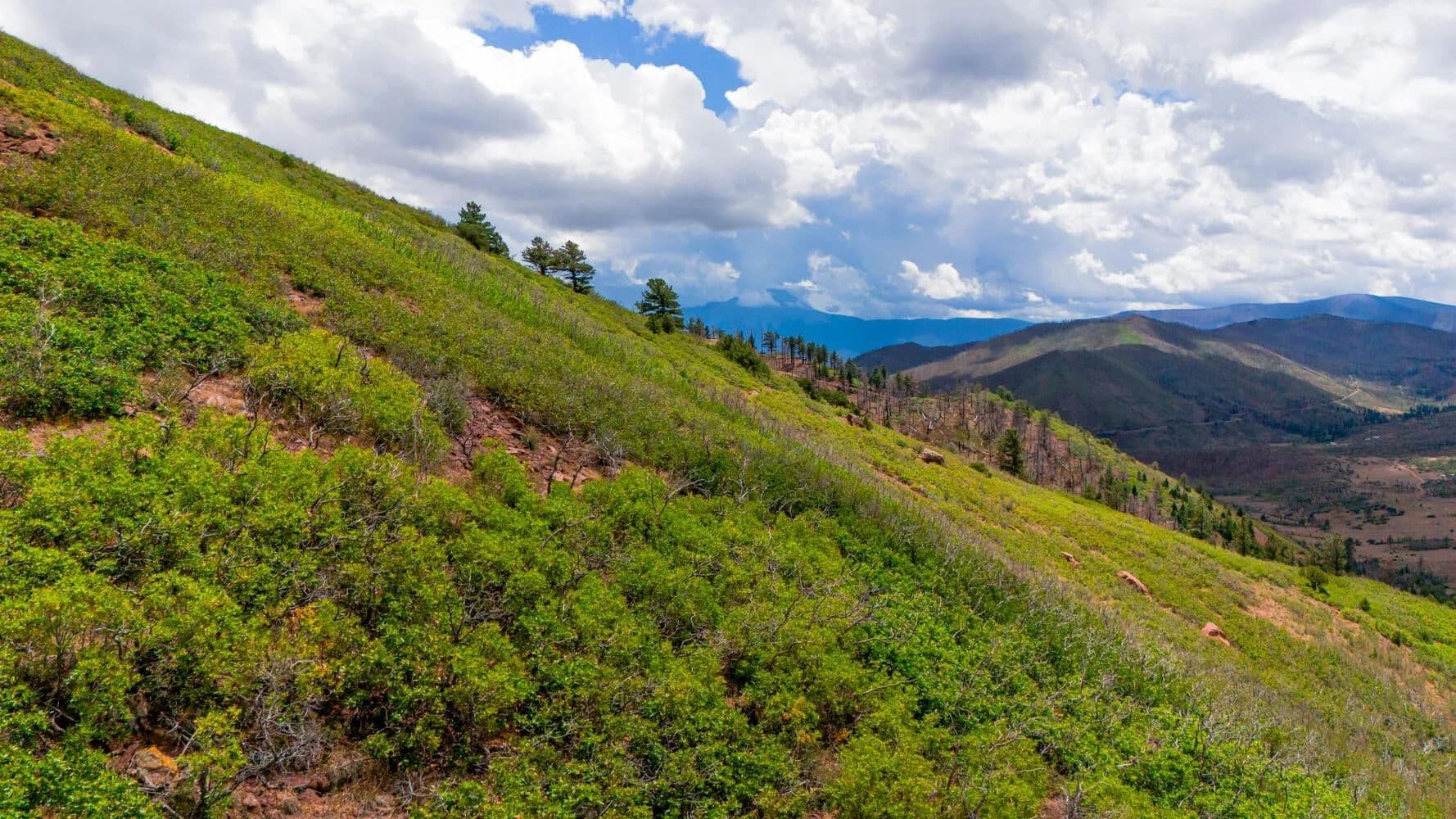 Lot 10 La Veta Acres, La Veta, CO 81055 - Colorado, 81055