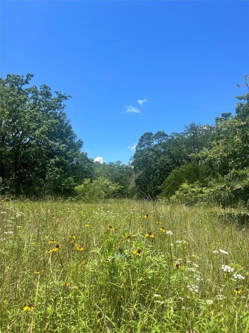 52.61 Acres of Land for Sale in Groesbeck, TX - Groesbeck, Texas, 76642