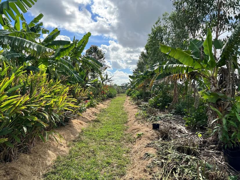 Property from 20915 Antoinette Street - KW