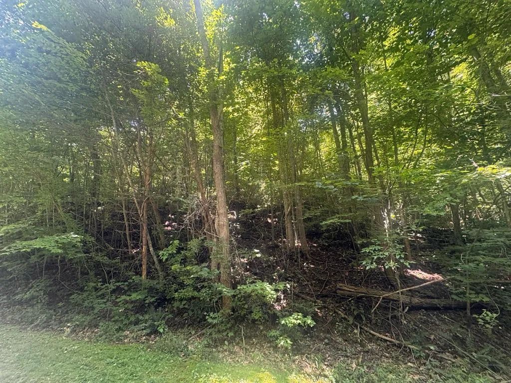 2.33 Acres of Land for Sale in Blairsville, GA - Blairsville, Georgia, 30512