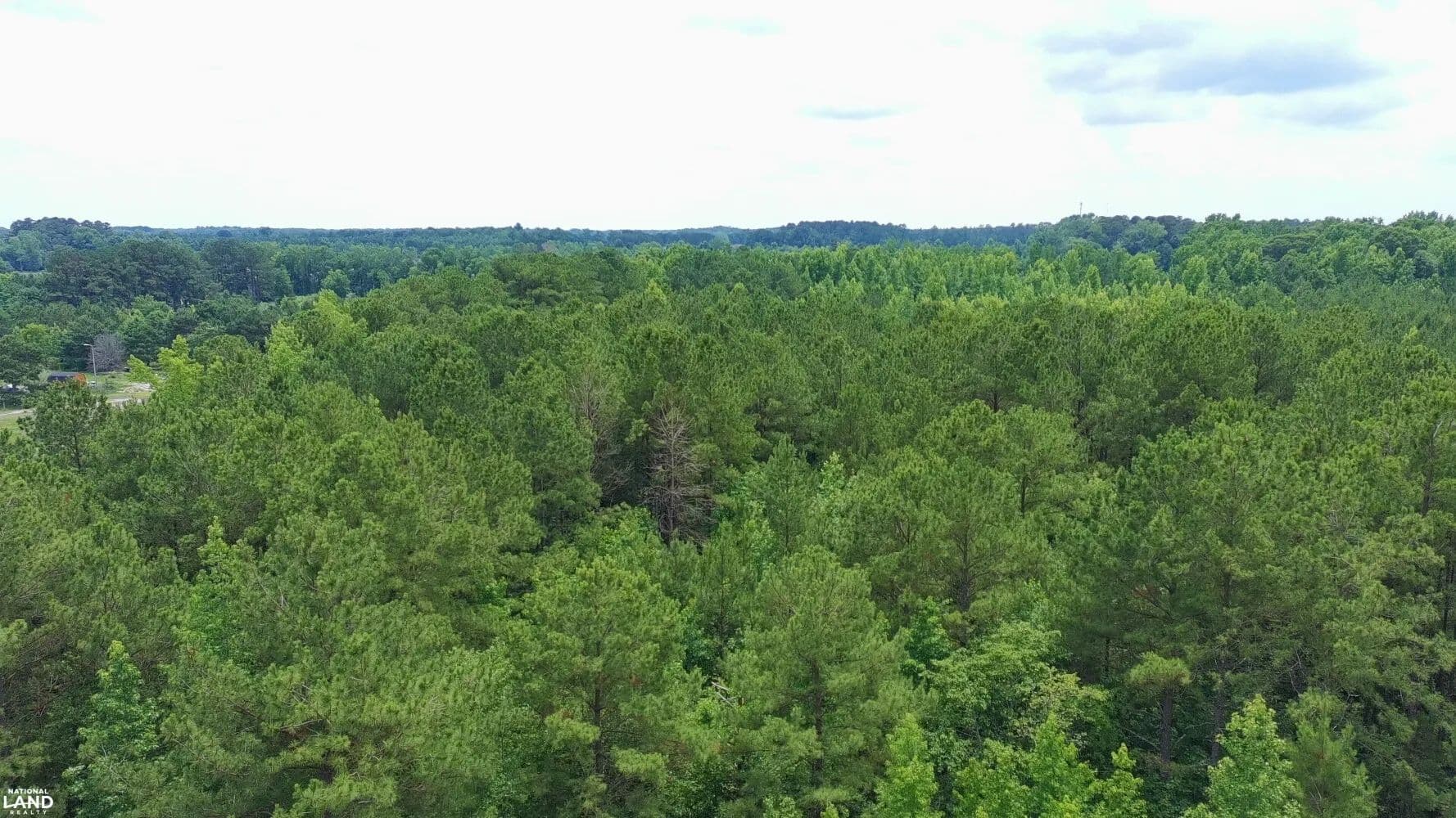 Lumberton Timber/Homesite - Lumberton, North Carolina, 28359