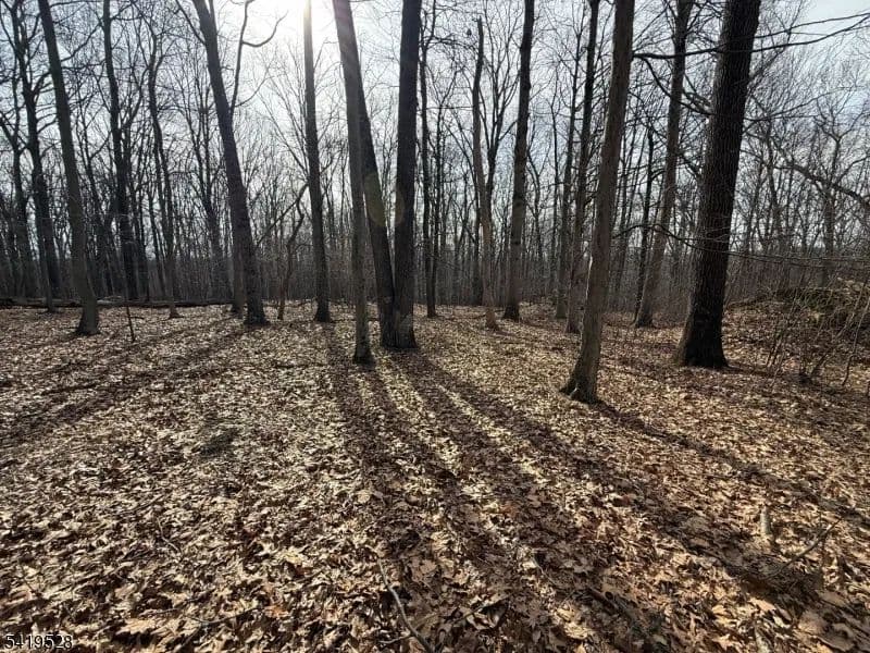 Vacant Land in Chester Twp.