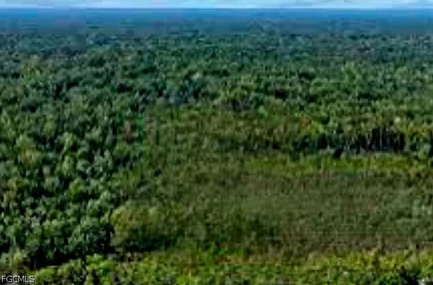 Vacant Land in Fort Meade - Fort Meade, Florida, 33841