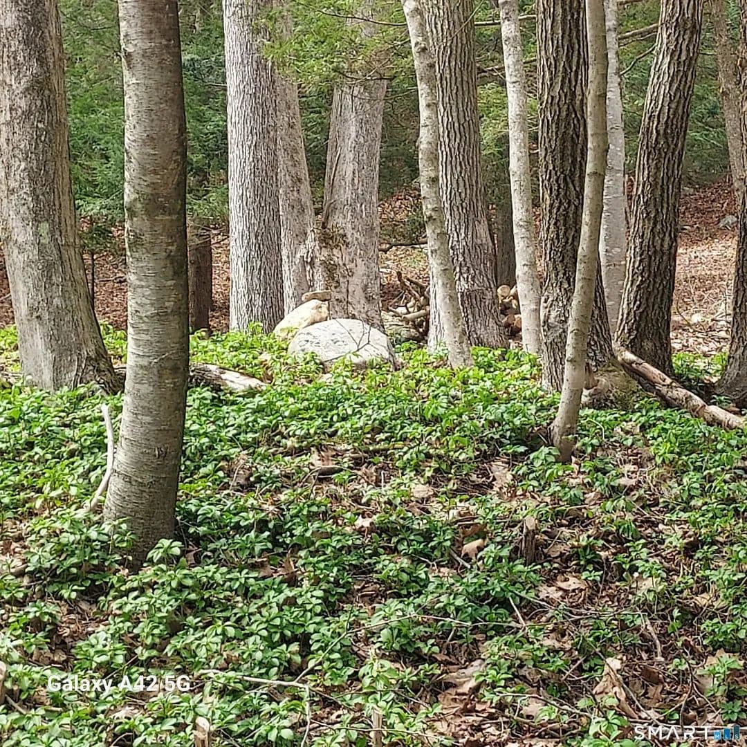 Lots & Land-Other in Coventry - Coventry, Connecticut, 06238
