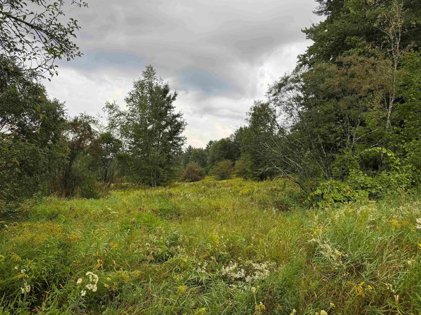 Lots & Land-Other in Johnson - Johnson, Vermont, 05656