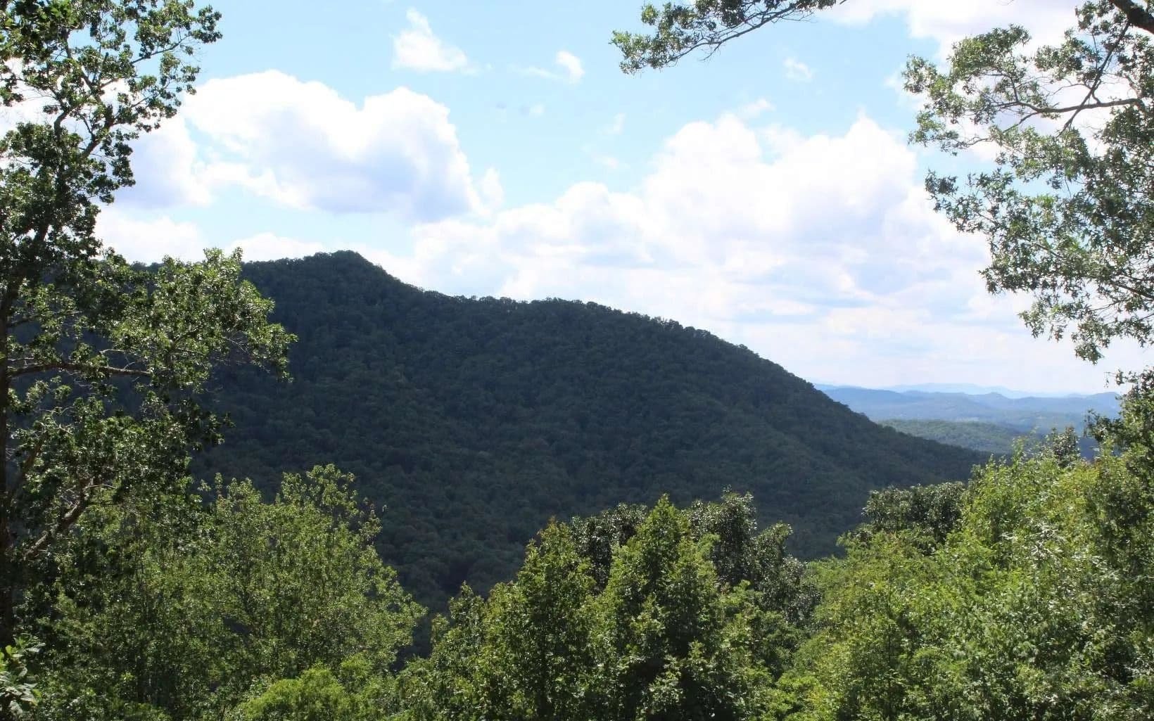 Lots & Land-Other in Hayesville - land for sale