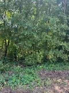 Lots & Land-Other in Phenix City - Phenix City, Alabama, 36867