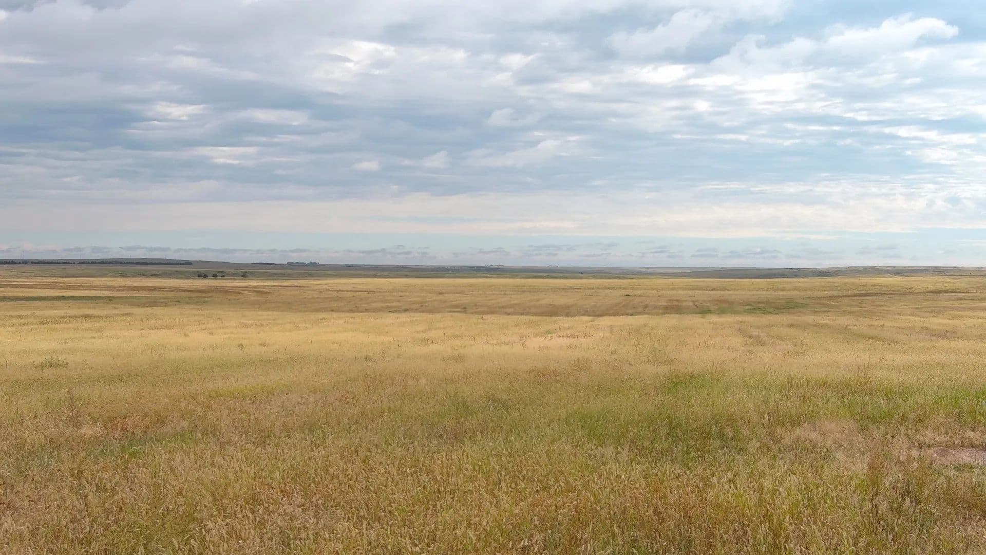 SE Cheyenne Dryland - Nebraska, 69162