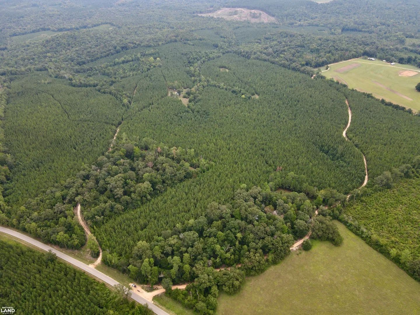 Walker Springs Hunting Camp & Timber Investment - Jackson, Alabama, 36545