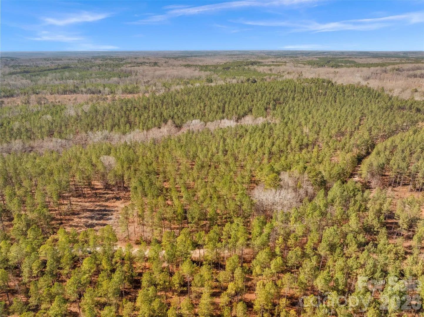 10 Acres of Land for Sale in McConnells, SC - Mcconnells, South Carolina, 29726