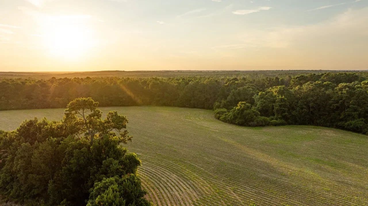 3 Acres to Build Your Dream Home in Baldwin County (LOT 11) - Stapleton, Alabama, 36578