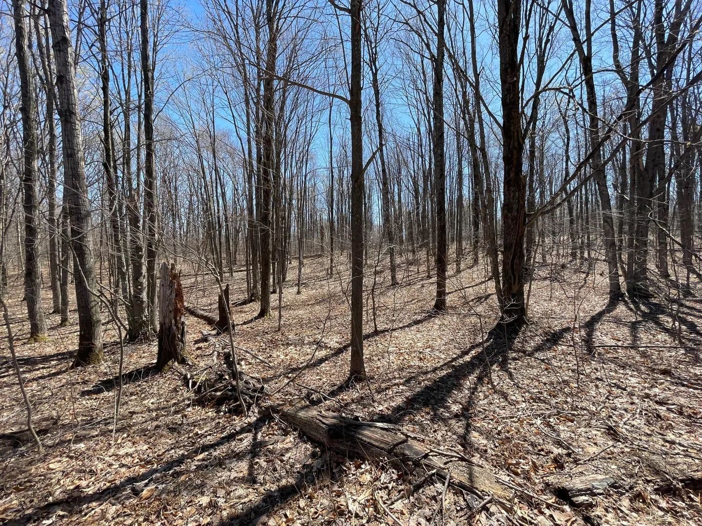 Vacant Land in Mancelona - Mancelona, Michigan, 49659