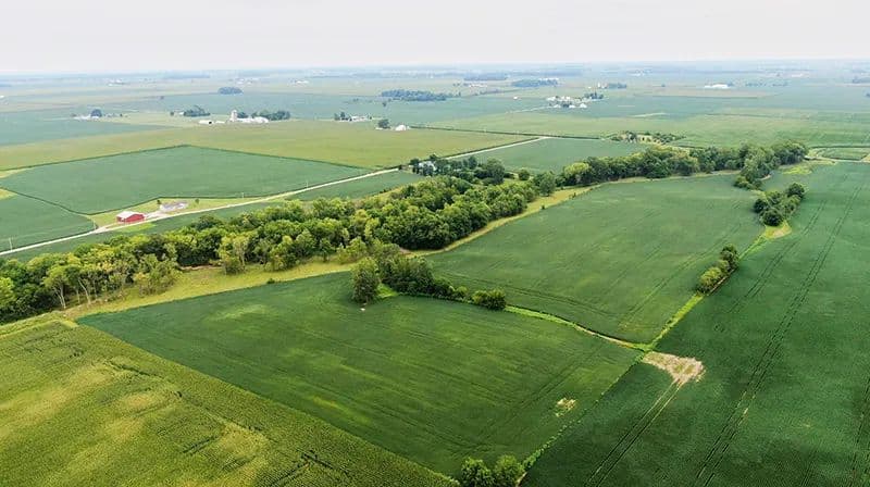 Sweet Farm - Henry County - Lewisville, Indiana, 47352
