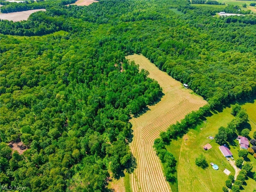31 Acres of Land for Sale in Scio, Ohio - Scio, Ohio, 43986