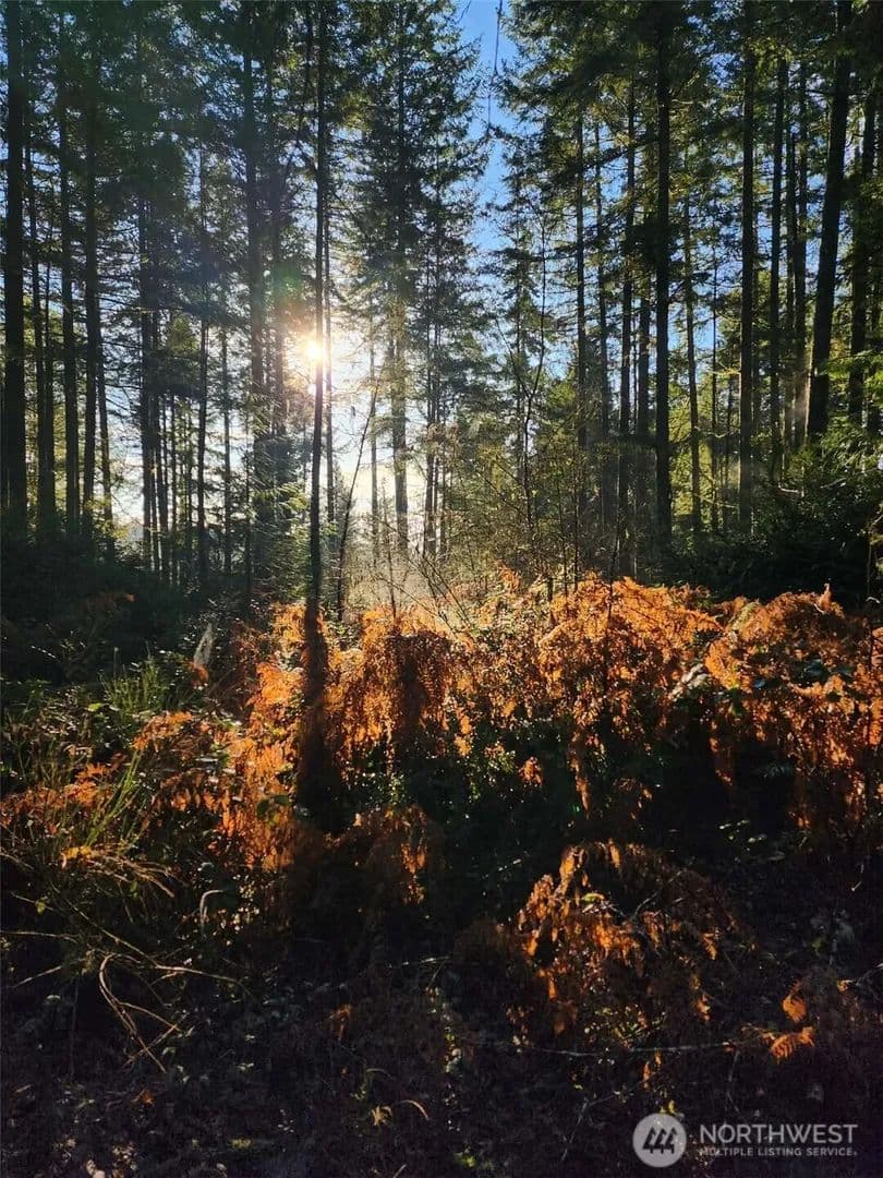 Vacant Land in Belfair