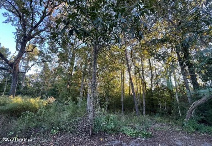 Vacant Land in Wilmington - Wilmington, North Carolina, 28411