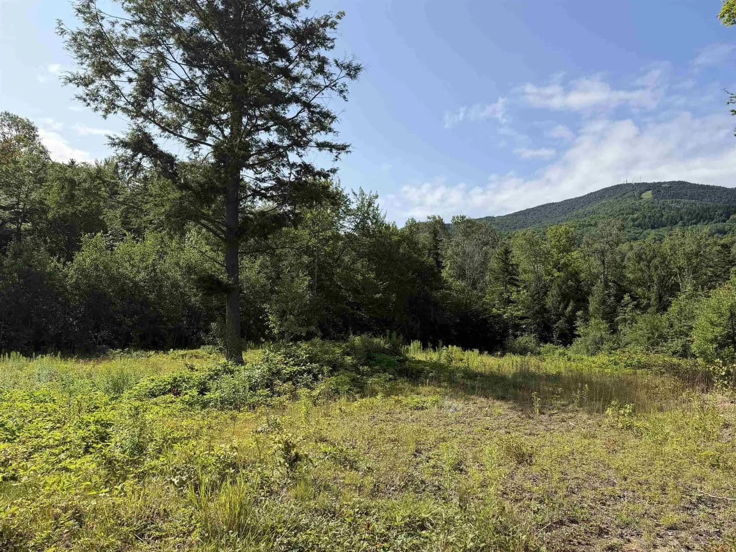Lots & Land-Other in Burke - Burke, Vermont, 05832