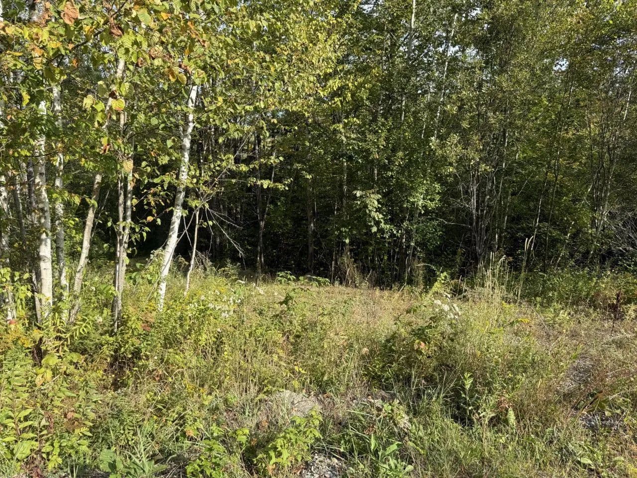 Vacant Land in Belfast - Belfast, Maine, 04915
