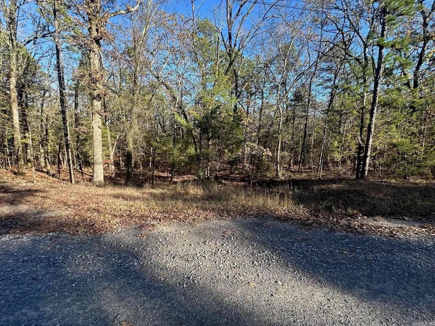 Lots & Land-Other in Higden - Higden, Arkansas, 72067