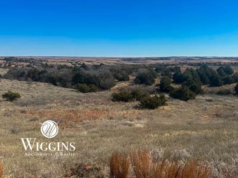 4/2 - 680 +/- Ac. Good Livestock/Ranch Land | Hunter's Paradise