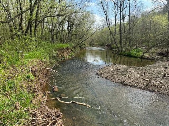Giles County Hunting/Investment - Pulaski, Tennessee, 38478