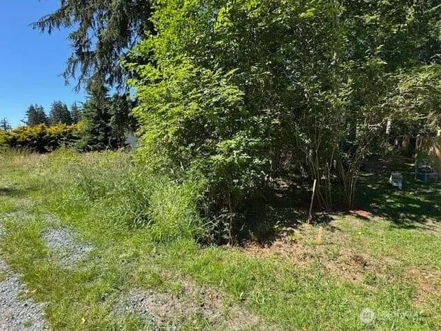 Vacant Land in Coupeville
