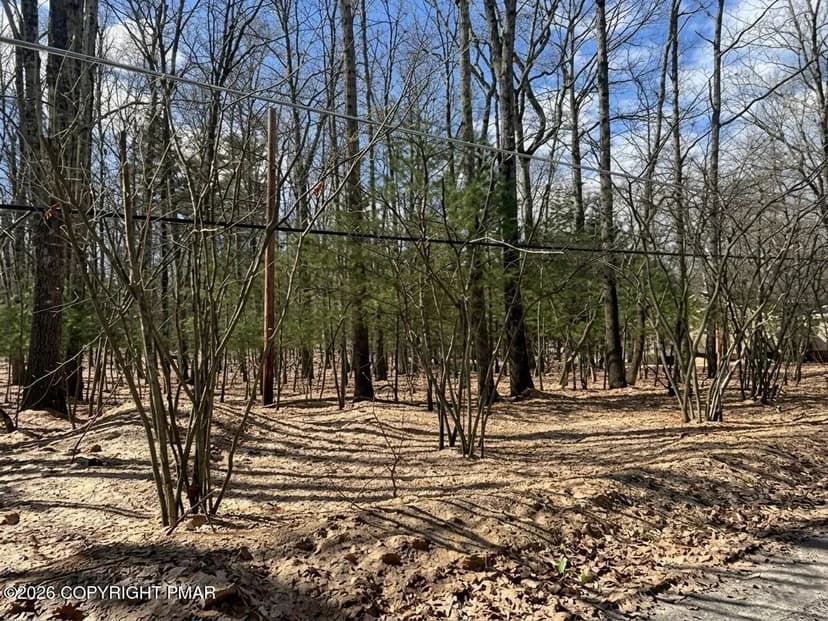 Property from Lots 22 & Daffodil Road - KW