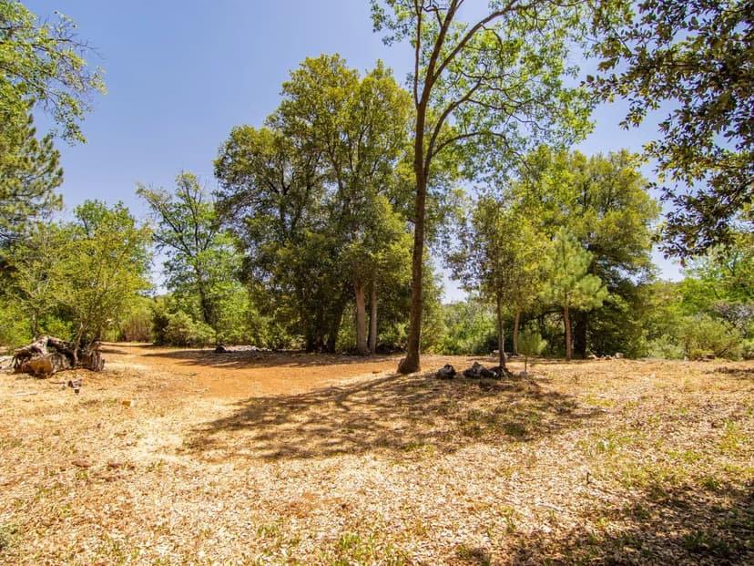 Cedar Road Retreat 