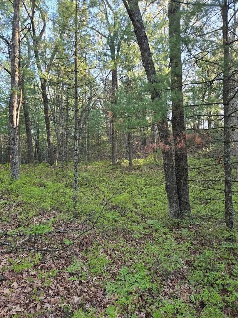 Lots & Land-Other in Pentwater