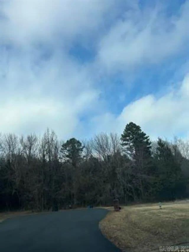 Lots & Land-Other in Greenbrier - land for sale