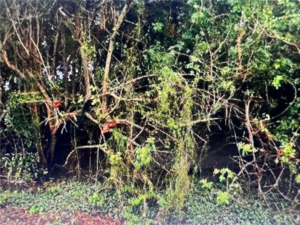 Property from 323 13th Place SW - KW - Vero Beach, Florida, 32962