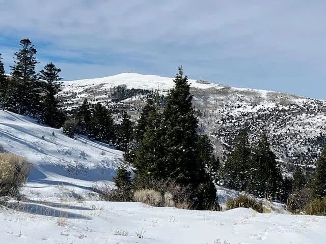 Lots & Land-Other in Summit