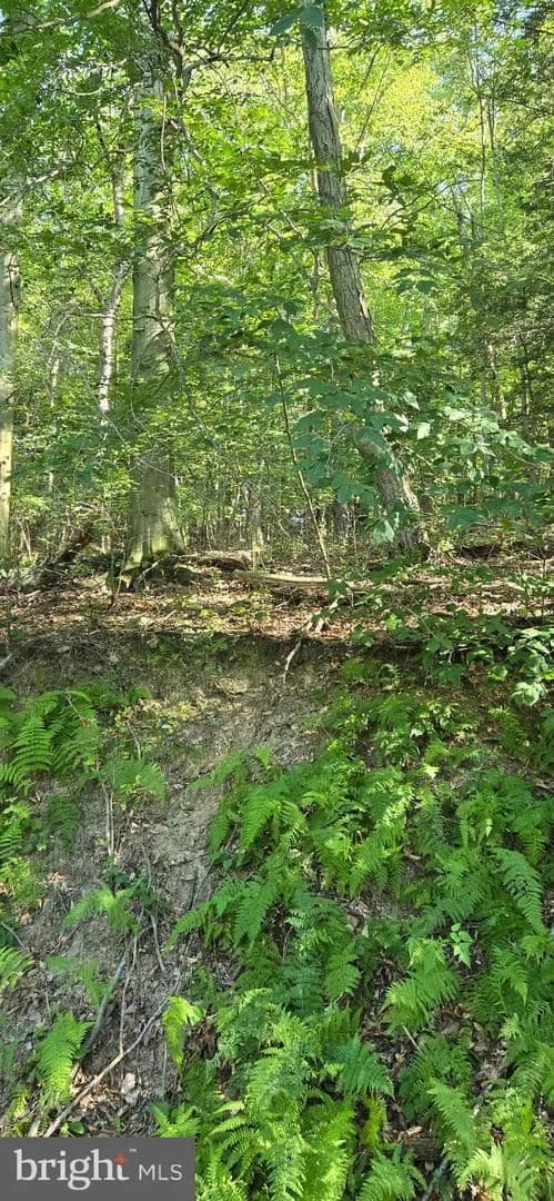 Vacant Land in Cumbola