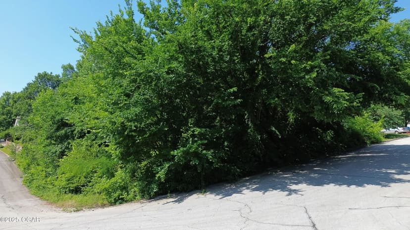 Property from Lot 1 N Willow Rd - KW