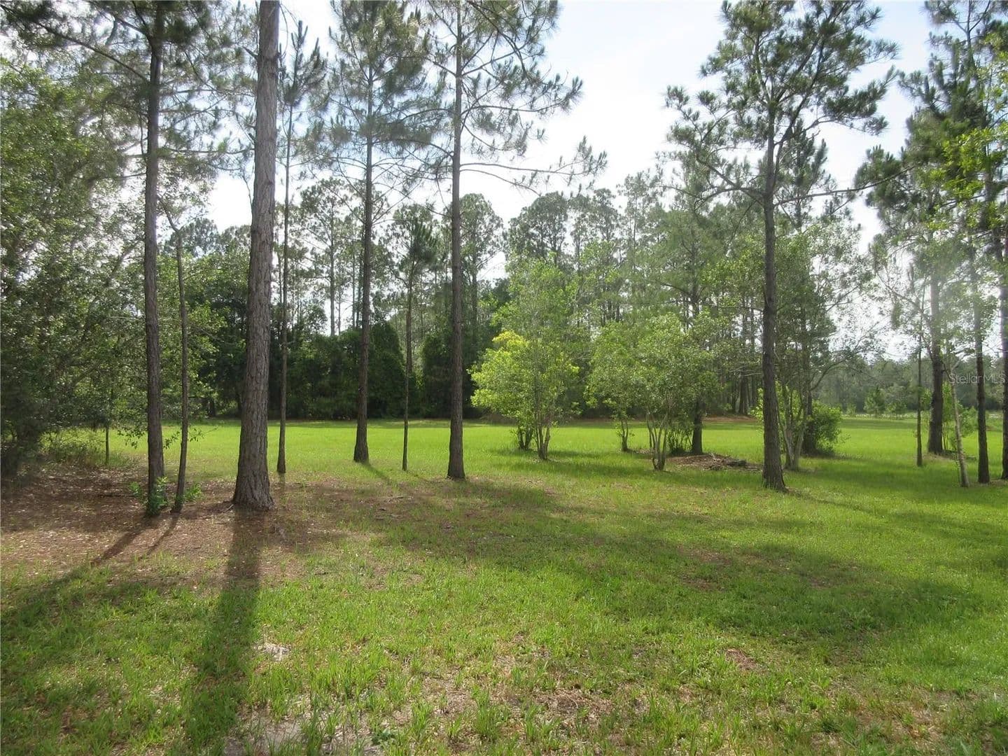 Property from 0 SE 10TH STREET - KW - Silver Springs, Florida, 34488