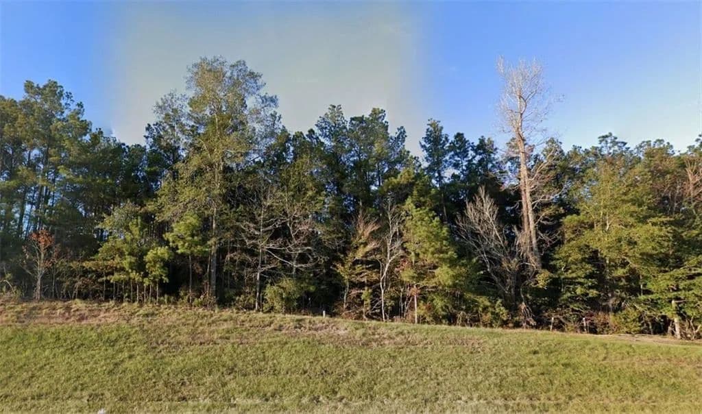 Lots & Land-Other in Boyce - Boyce, Louisiana, 71409