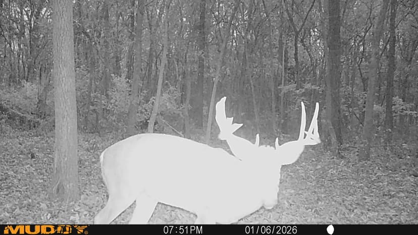 30±-Acre Hunting Property with Potential Home and Lake Site – Montgomery County