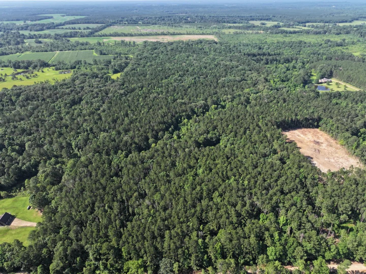 40.05 Acres in Rankin County, MS  - Pelahatchie, Mississippi, 39145