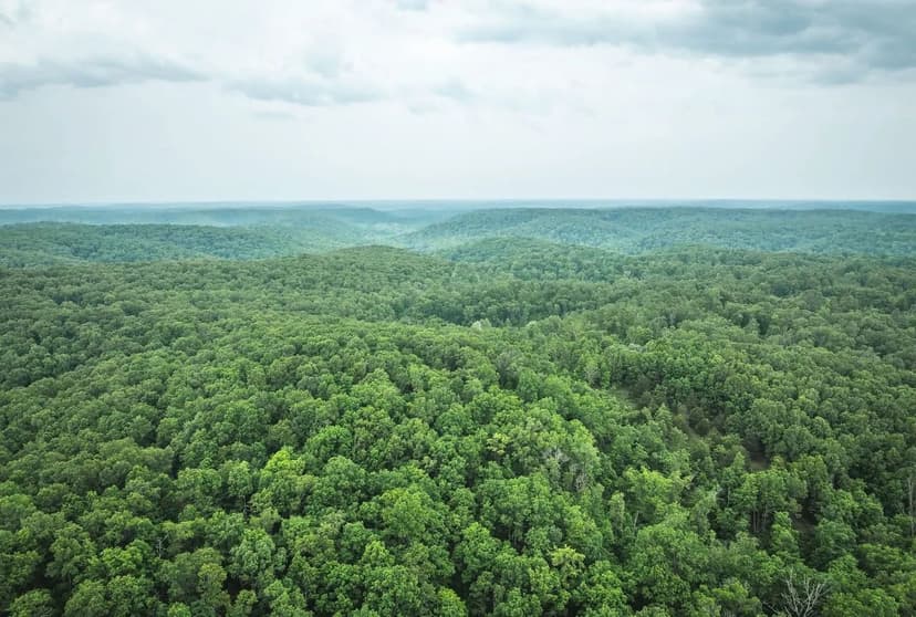 Pine Hollow Sportsmen's Retreat Tract 2