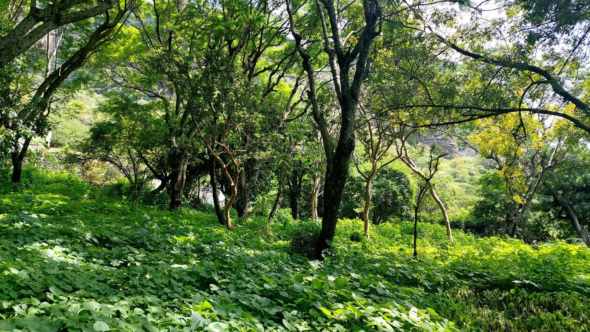 Terreno en venta en Malinalco - land for sale