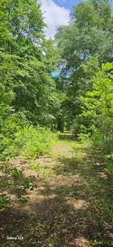 Land -Single Family Acreage in Alba - Alba, Texas, 75410