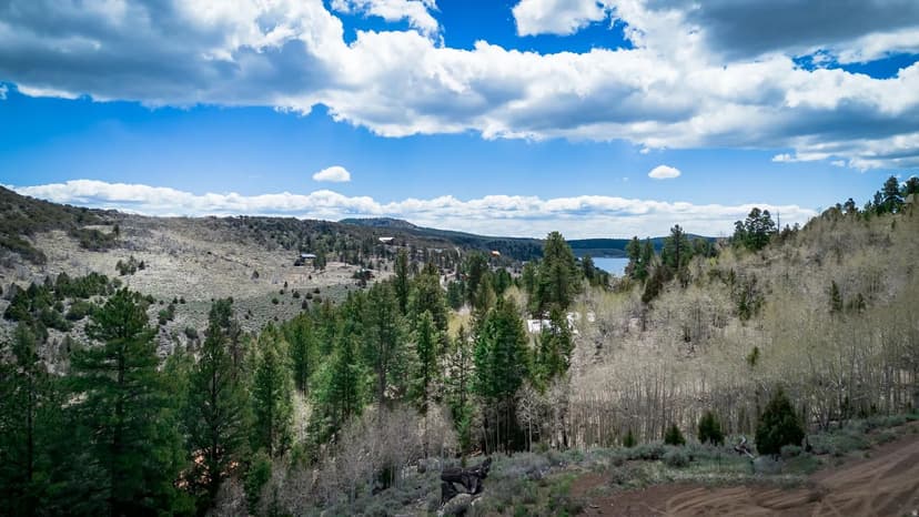 Property from 696 N IPSON CREEK CIR #13 - KW