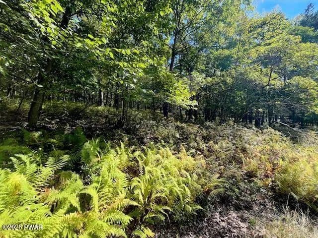 Vacant Land in Dingmans Ferry - Dingmans Ferry, Pennsylvania, 18328