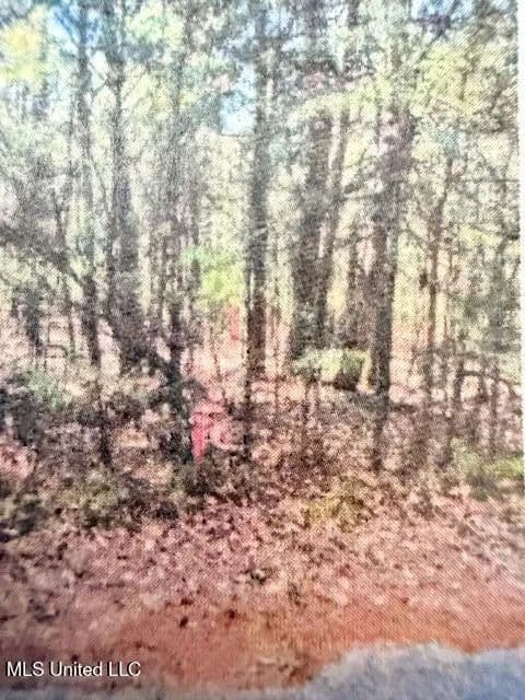 Property from 0 Hardy Road - KW - Madison, Mississippi, 39110