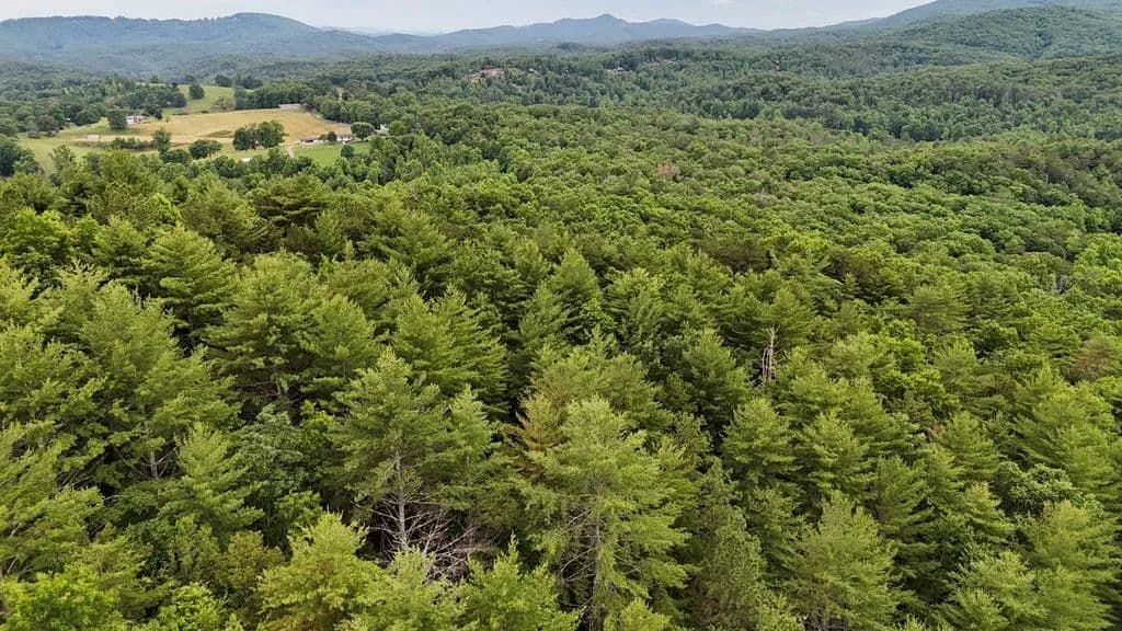 Property from 00 Choctaw Ridge Trail - KW - land for sale