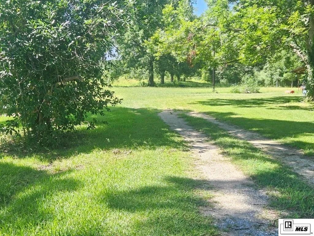 Vacant Land in Rayville - Rayville, Louisiana, 71269