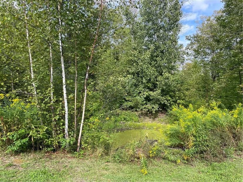 Property from 421 Welch Road - KW